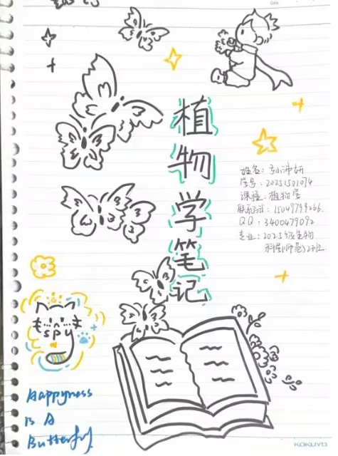 e20fdb3ed315435b9314e586ec90e9d2.png